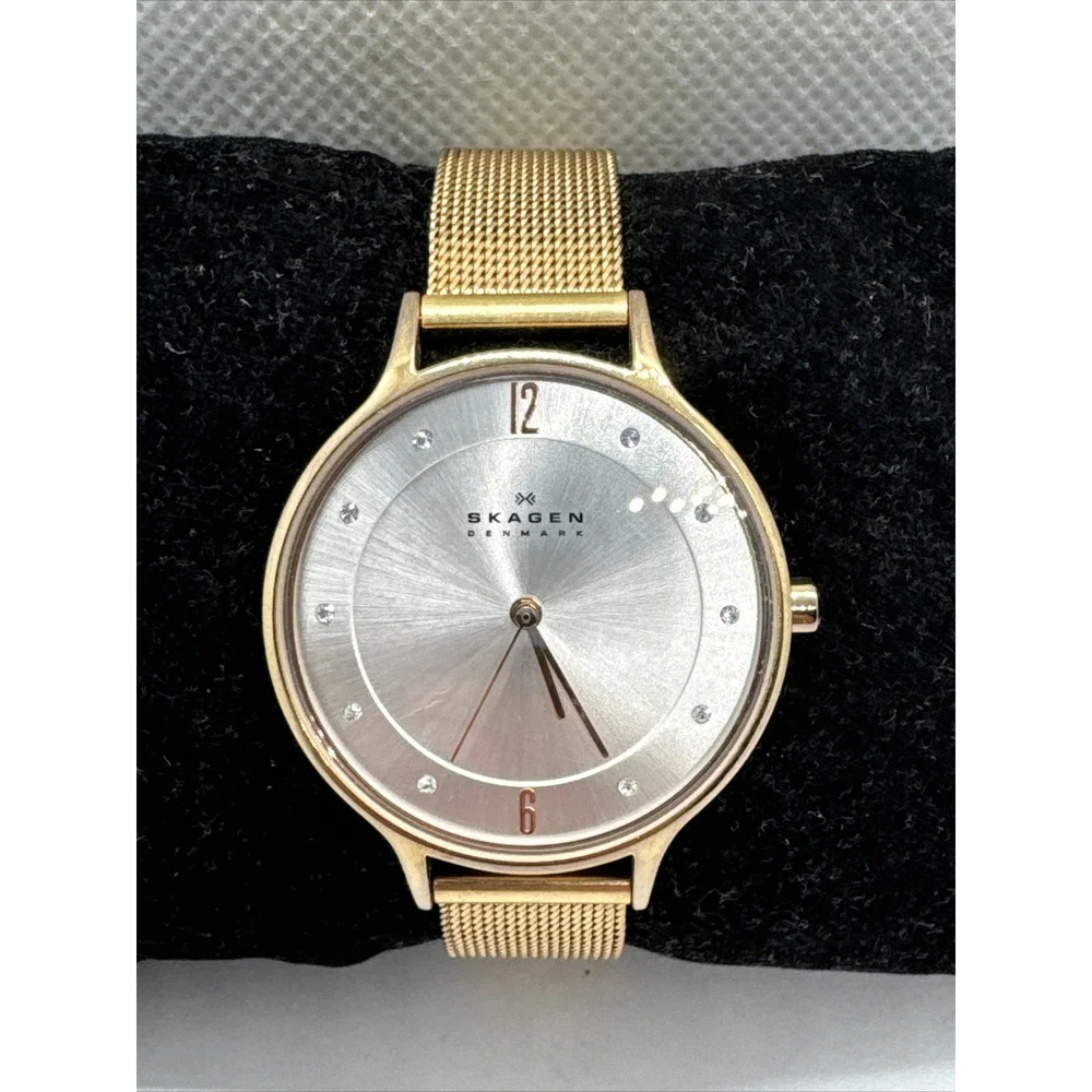 Skagen SKW2151 Womens Stainless Steel Mesh Analog Dial Quartz Wrist Watch AEA290